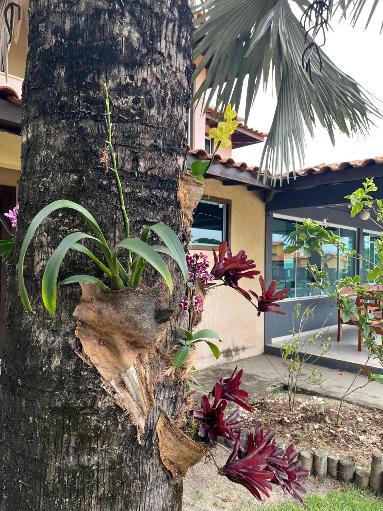Casa de férias Buzios, Paraiso Brava